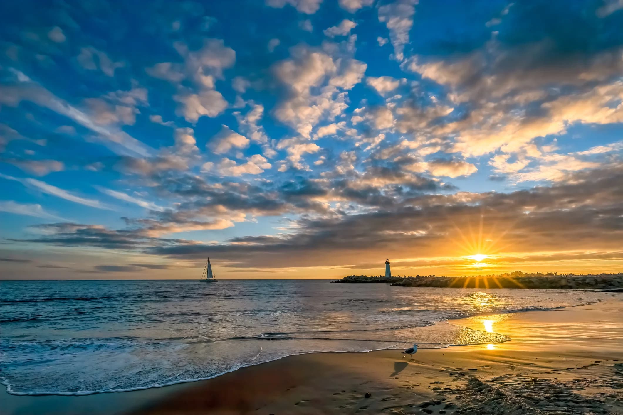 Mavericks Fitness Training Space