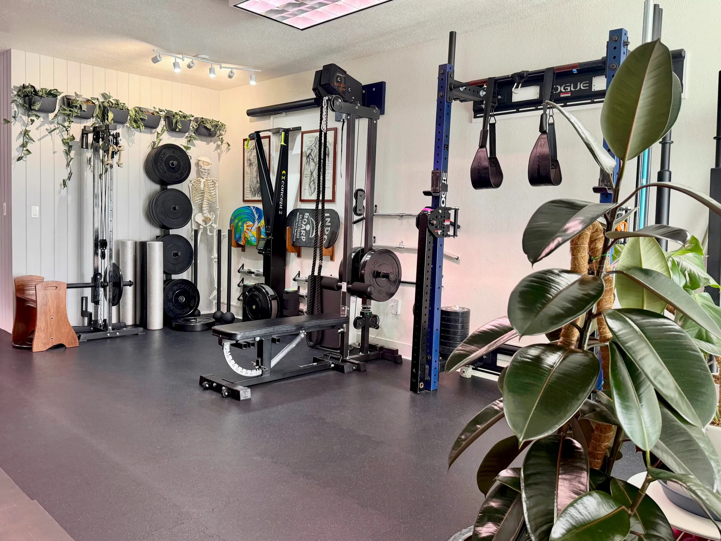 Your Training Space Is Part of Your Brand. Act Like It.